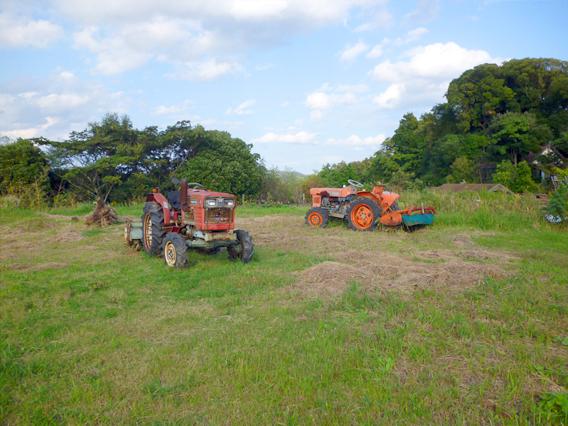 Local land photo. local