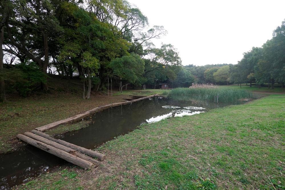 park. Kokubunji to Central Park 910m