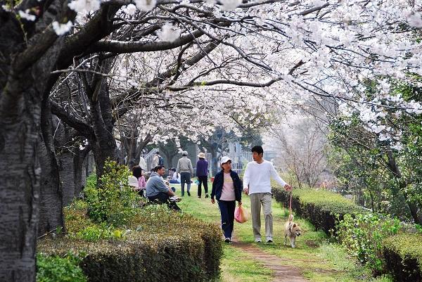 park. 720m to the north Goi green road