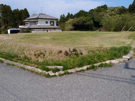 Local land photo. Local Photo: July 2011 shooting (from the southwest side)