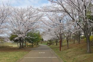 Other. Kazusa of the road (Photo 150m point from the south gate. March 2013 shooting)