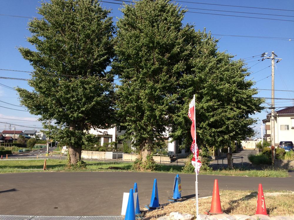 View photos from the local. View from local (September 2013) Shooting