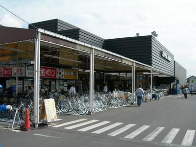 Home center. Joyful 688m to Honda Ichihara shop