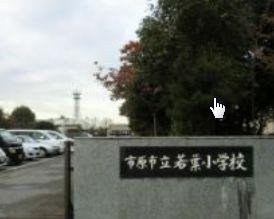 Primary school. 1961m until Ichihara Municipal Wakaba Elementary School