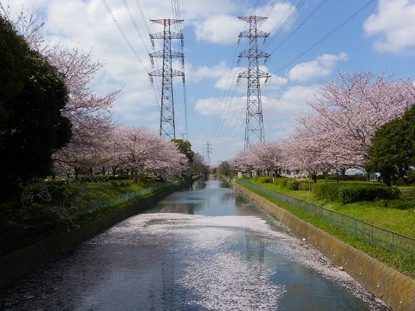 park. 1234m to the north Goi green road
