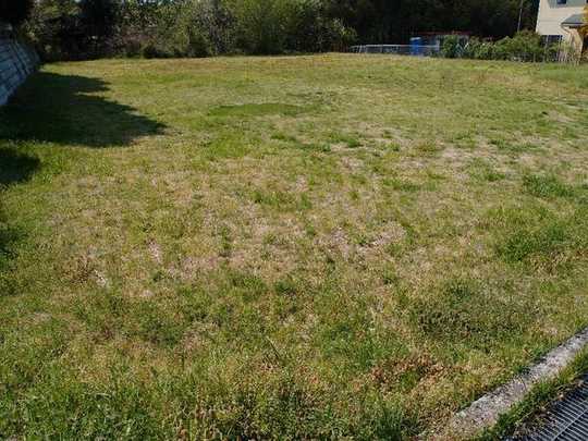 Local land photo. Local Photo: July 2011 shooting (from the southwest side)