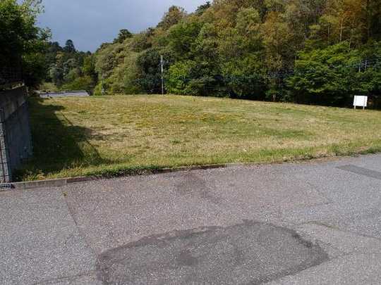 Local land photo. Local Photo: July 2011 shooting (from the south)