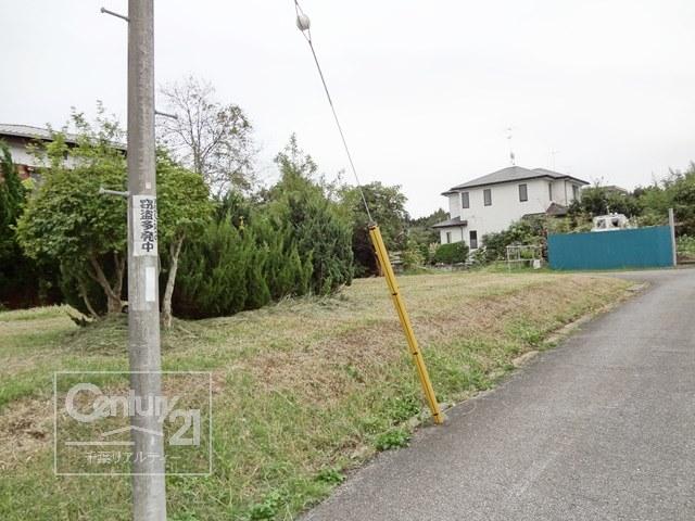 Local photos, including front road