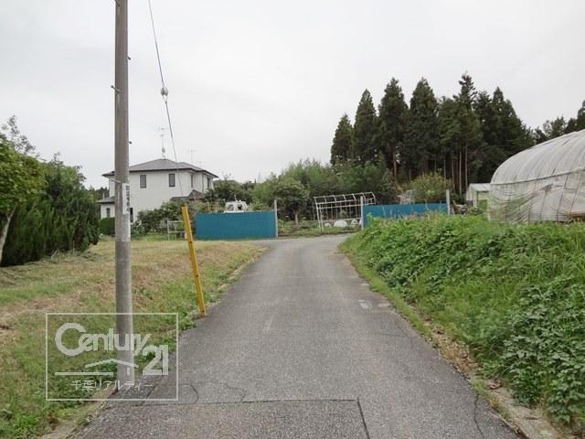 Local photos, including front road