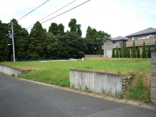 Local land photo. Current Status: Vacant Land