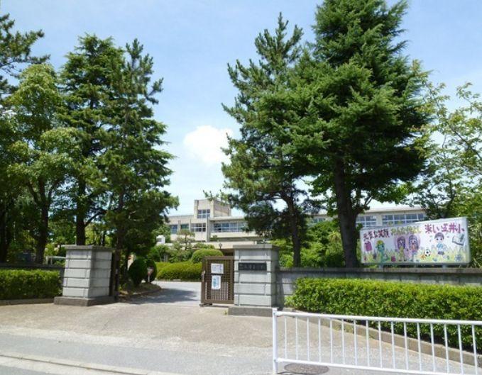 Primary school. Goi elementary school