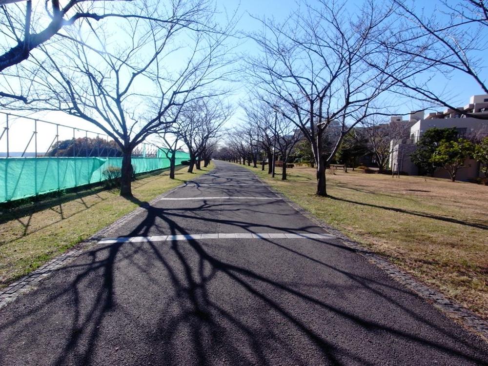 Other Environmental Photo. Road of Kazusa 1m subdivision northeast side is in contact to the promenade. Adjacent all elementary and junior high school kindergarten is the way of the Kazusa connecting the station and the city block. School and pick-up, Commuting also comfortable commute while looking forward to the change of the seasons of peace of mind roadside trees every day !!
