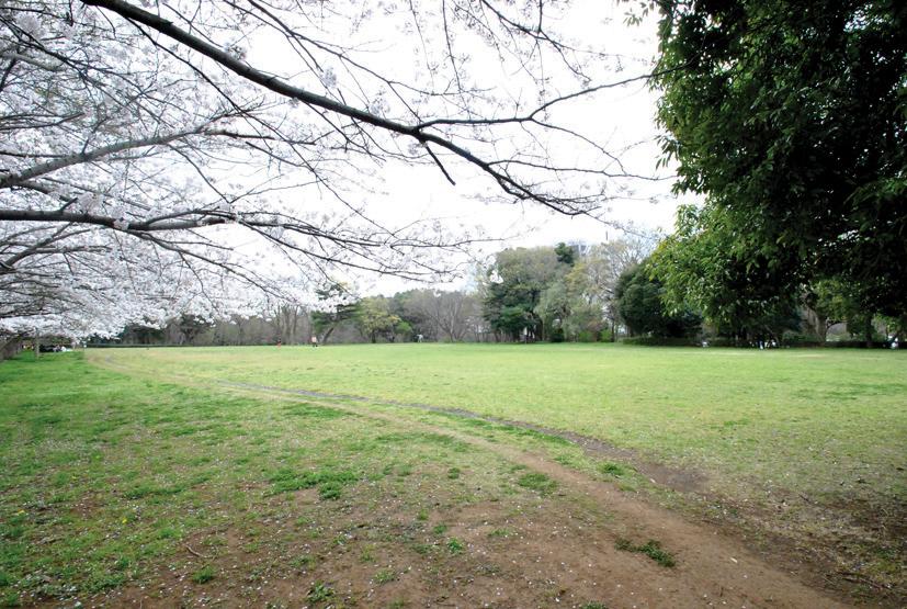 park. Kokubunji to Central Park 560m