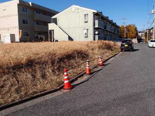 Local land photo. Property taken from the southeast.