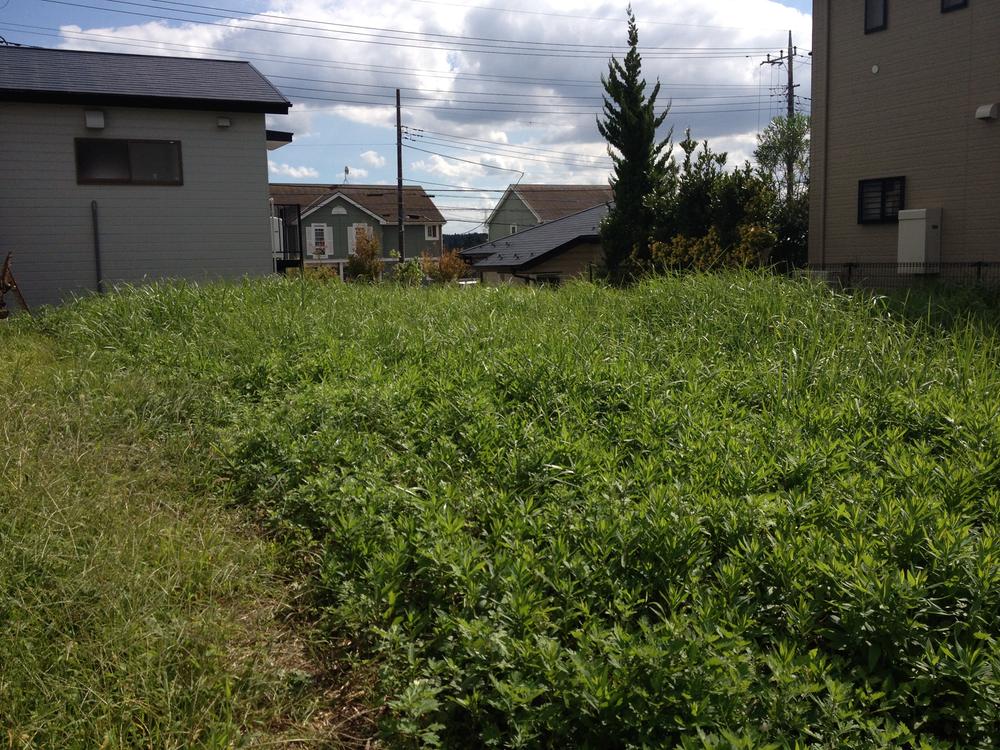 Local land photo. Local (September 2013) Shooting