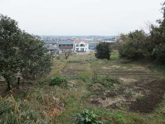 Local land photo