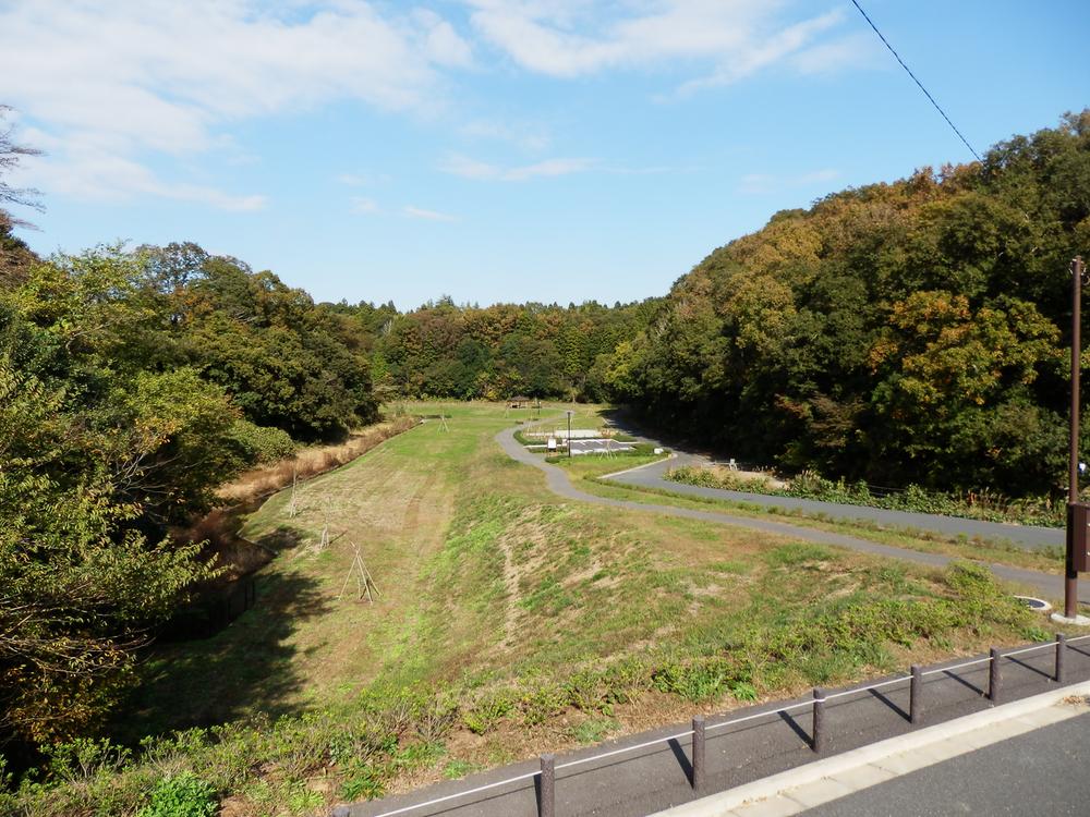 View photos from the local. It is part of the overlooking the park from local. It seems to be coming kingfisher