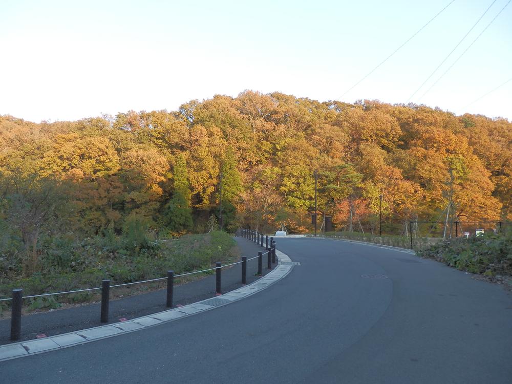 Other. Local adjacent natural park (January 2014) Shooting