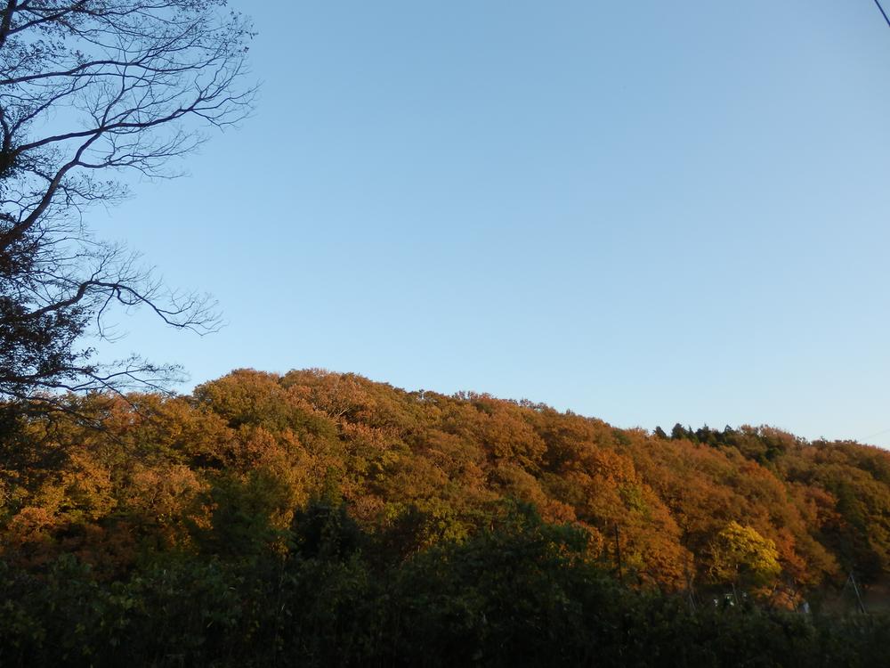 View photos from the local. View from the site (December 2013) Shooting