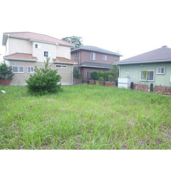 Local land photo. Site photo