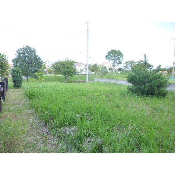 Local land photo. Site photo