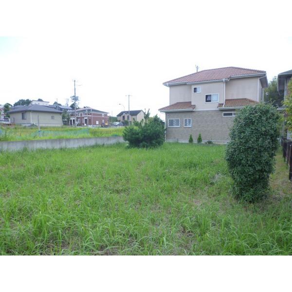 Local land photo. Site photo