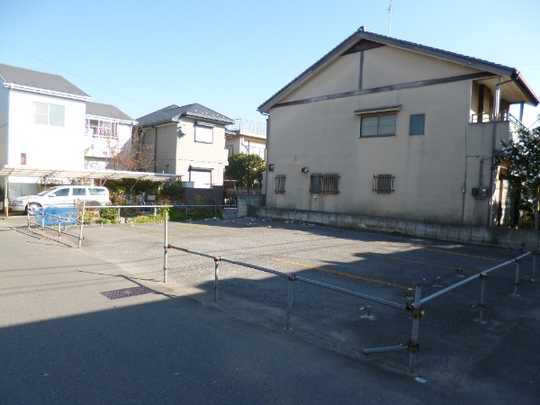 Local land photo. Appearance (1)