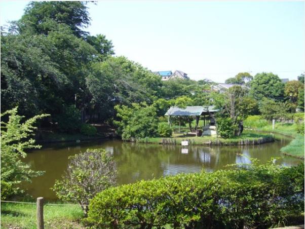 Other. Benten Pond Park adjacent