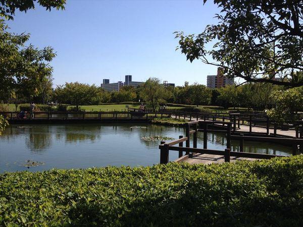 Other. Fukuei Sports Square About 185m (3 minutes walk)