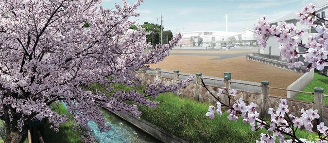 Other local. Ichikawa city, Free design of the city Panataun born along the mom River