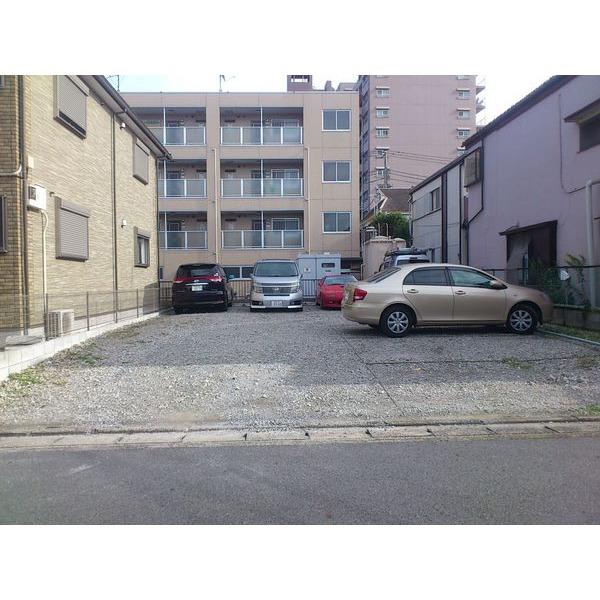 Local land photo. appearance