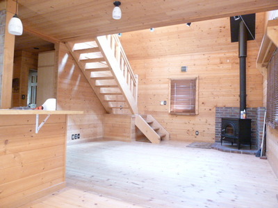 Other. Also it comes with a fireplace in the cozy space transmitted the warmth of wood
