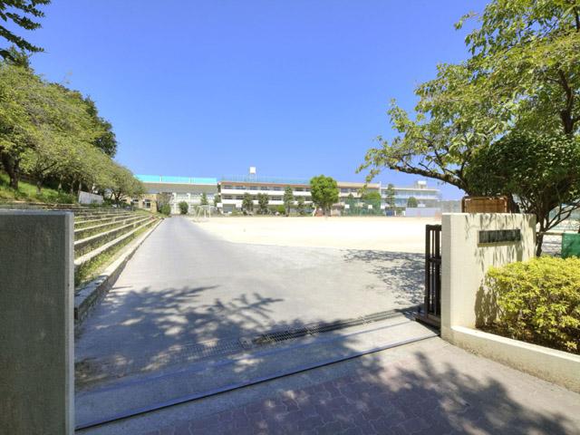 Junior high school. 1317m until Ichikawa Municipal second junior high school