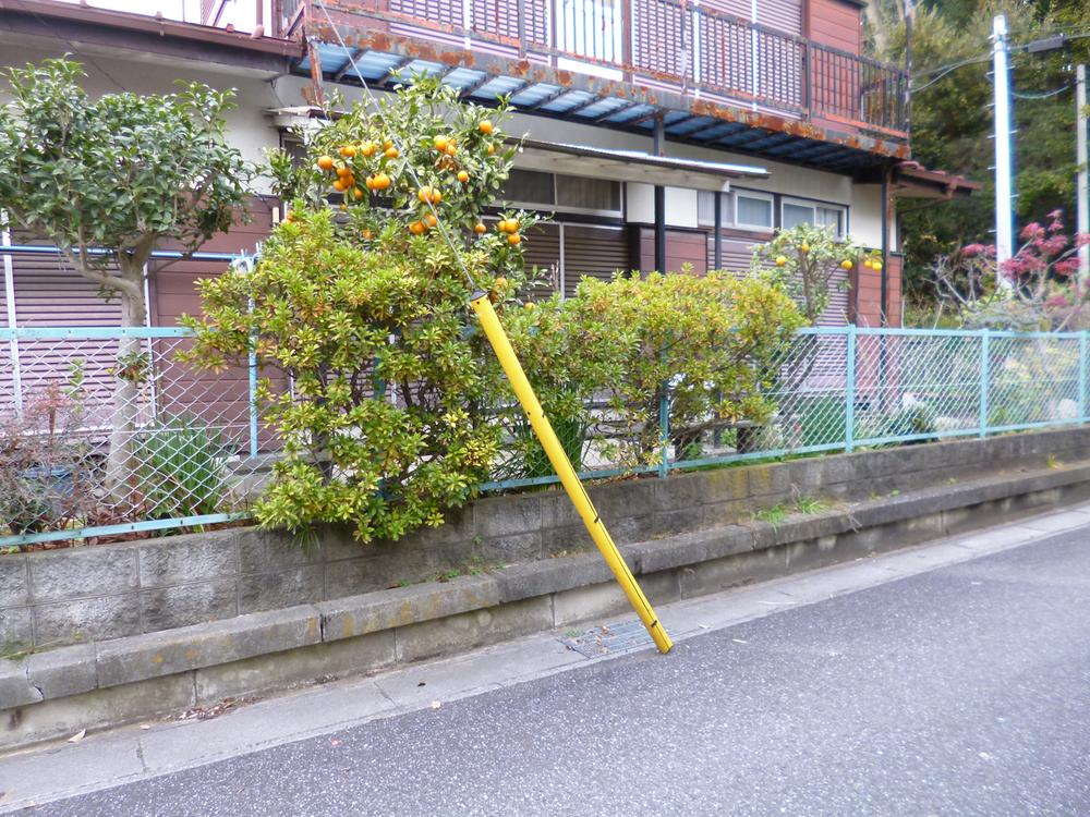 Local land photo. Local (12 May 2013) Shooting