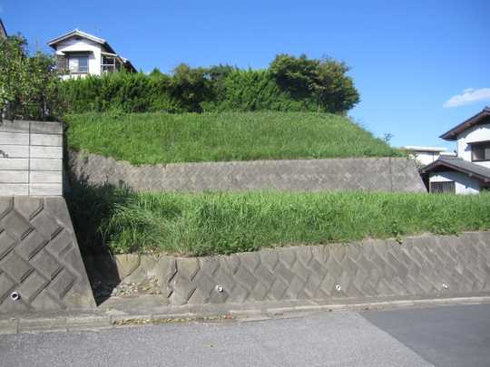 Local land photo. Residential land Photo 1