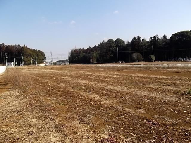 Local land photo. Local (10 May 2013) Shooting