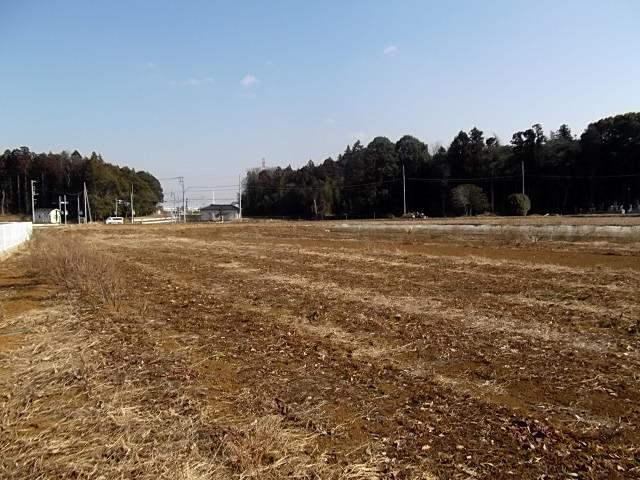 Local land photo. Local (10 May 2013) Shooting