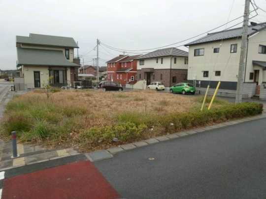 Local land photo. local