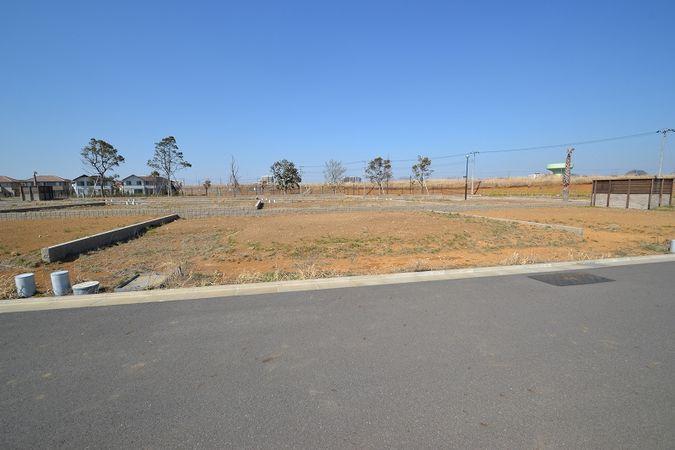 Other local. Wide sky with no wires, Large palm tree is impressive subdivision. 
