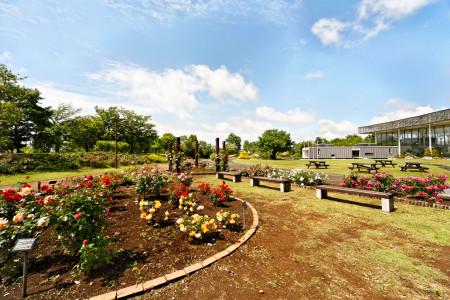 park. 1100m to Chiba Prefecture Tatsukita Soka of hill park