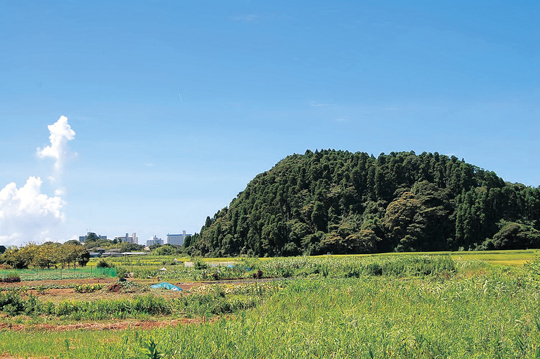 View photos from the local