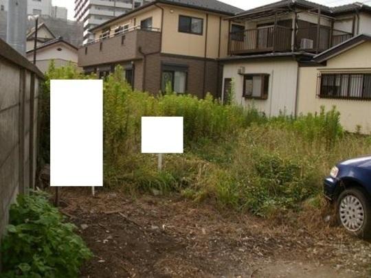 Local land photo. Local Photos