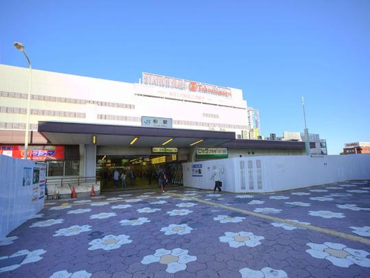 Other. Kashiwa Station