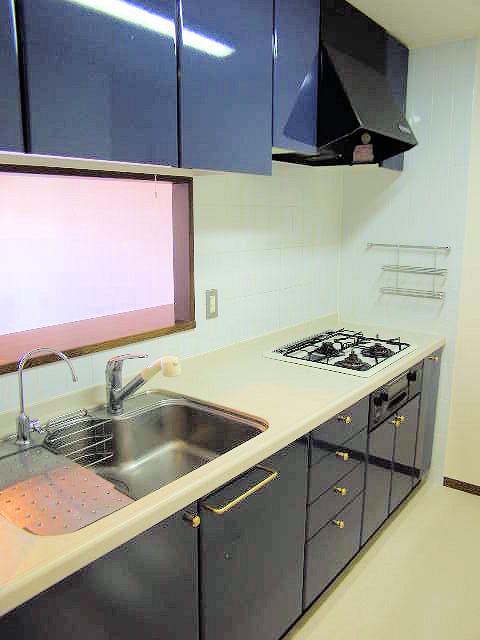 Kitchen. It is cleaned in shiny (December 2013) Shooting