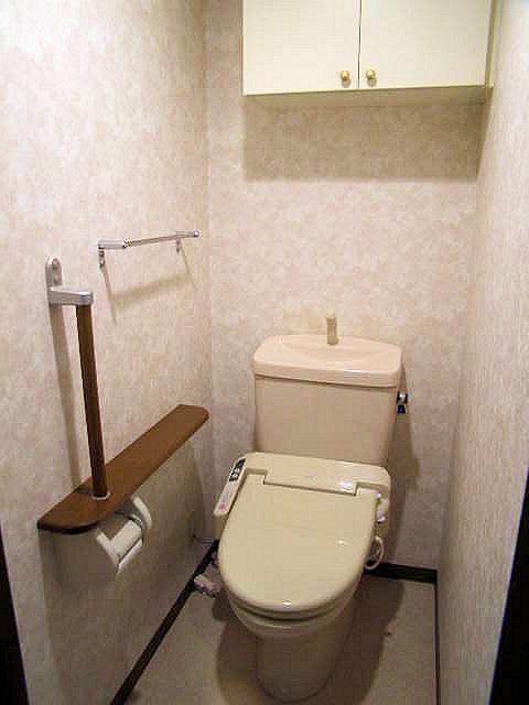 Toilet. Indoor (12 May 2013) Shooting