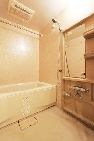 Bathroom. Come please visit