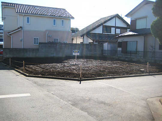 Local land photo. Scene photos (1)