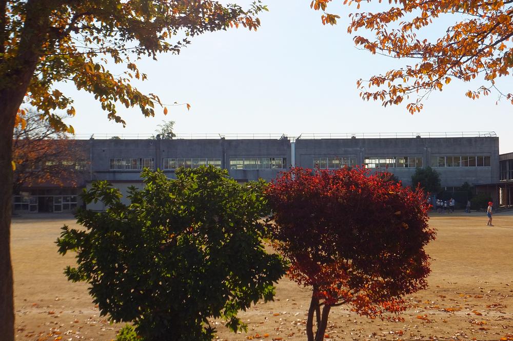 Primary school. 865m to Kashiwa TatsuYutaka Elementary School