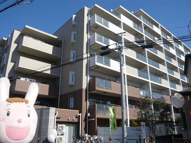 Local appearance photo. Local (February 25, 2013) Shooting