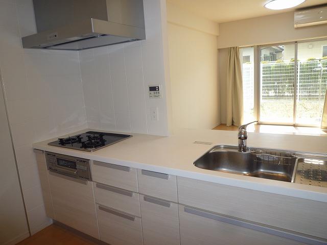 Kitchen. Indoor (March 5, 2013) Shooting